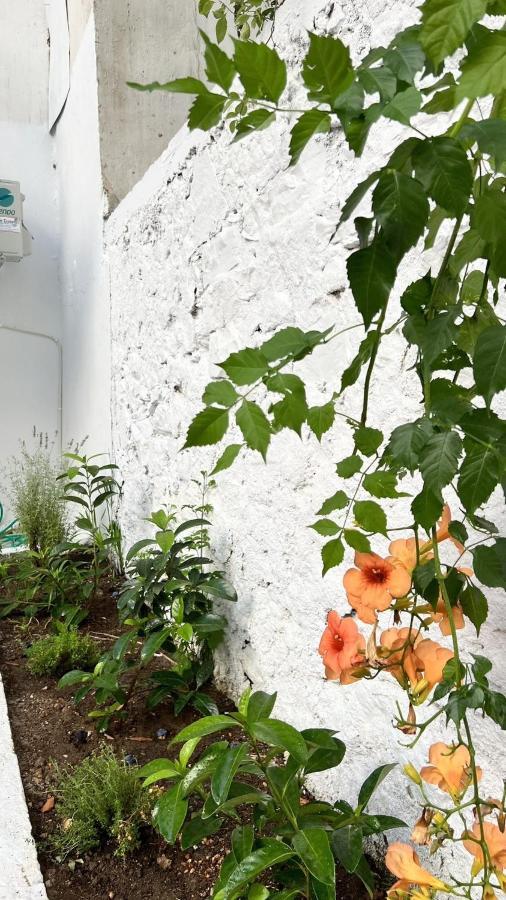 Apartamento Μy Ηομε Chalkís Exterior foto